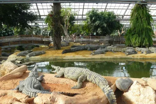 Coupon réduction pour La Ferme Aux Crocodiles de Pierrelatte, Saint-Paul-Trois-Châteaux, La Villa Tria Castella